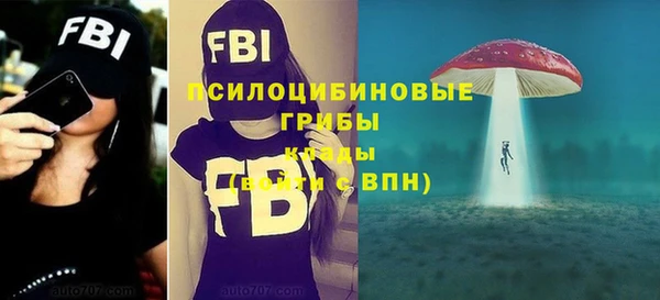 первитин Вяземский