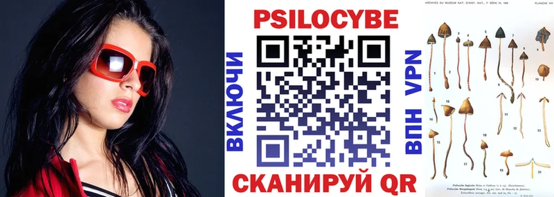 Купить  Колпашево  Псилоцибиновые грибы Psilocybe 